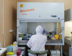 30 апреля коронавирус  выявили еще  у 87 пензенцев