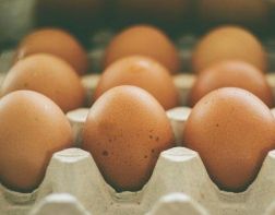 Пензастат сообщил о снижении производства яиц в регионе