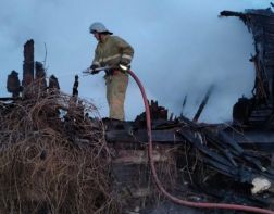 65-летний пенсионер погиб в пожаре под Пензой