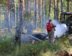  В Пензенской области ликвидировали  семь лесных пожаров