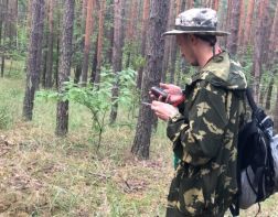 Пензенцев научат искать пропавших в лесу людей 