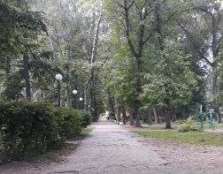 ﻿﻿Пензенцы жалуются на неблагоустроенный Комсомольский парк