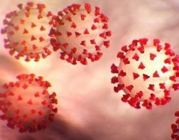 ﻿Найден фактор, повышающий риск смерти от коронавируса