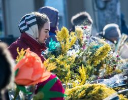 В Пензе перед 8 Марта открылись 12 цветочных ярмарок