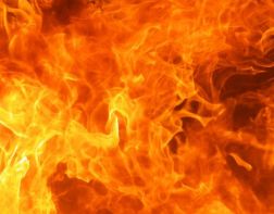 34 пожарных тушили пожар в "Дубраве"