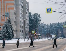 ﻿В Пензенской области разыскивают без вести пропавшую 25-летнюю зареченку