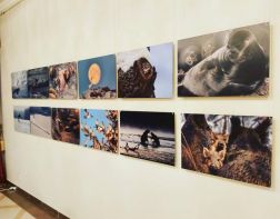 В Пензе откроется Международная фотовыставка 