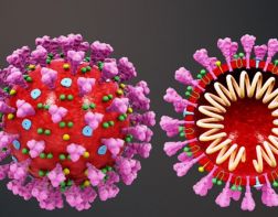 Названо самое необычное свойство коронавируса