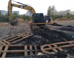 В Пензе Арбековский пруд расчистят на год раньше