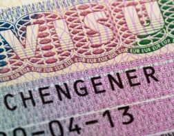 ﻿Зареченку обманули при оформлении шенгенской визы