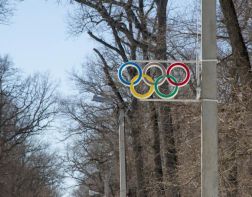 Олимпийскую аллею в Пензе закроют на несколько дней