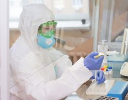В Пензенской области еще 43 человека заразились коронавирусом