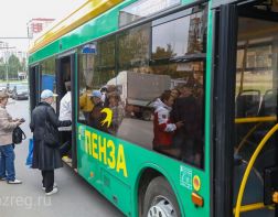 В Пензе общественный транспорт покрасят в желто-зеленый цвет