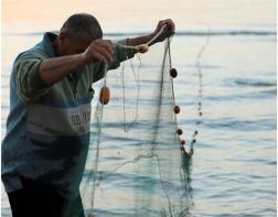 В области будут судить рыбака за незаконный улов