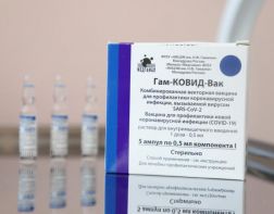 В регион доставлена новая партия вакцины «Спутник V»