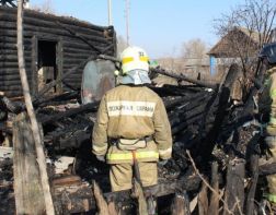В Вадинском районе в пожаре погибли два человека