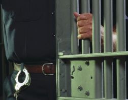 В Пензе осудили насильника 12-летней девочки
