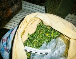Пенсионер хранил у себя дома более 750 граммов марихуаны