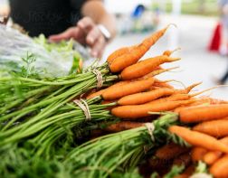 Пензенцы шутят о росте цен на морковь