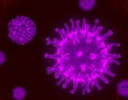 ﻿Ученые назвали наиболее частый источник заражения коронавирусом