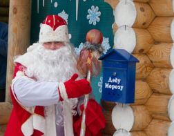 Пензенская детвора сможет поздравить Дедушку Мороза с днем рождения
