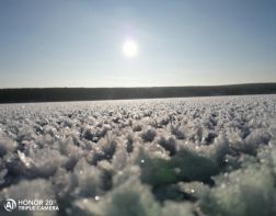 На Сурском водохранилище зацвели снежные кристаллы