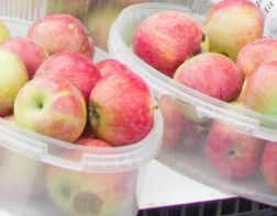Иногородний украл 27 кг яблок