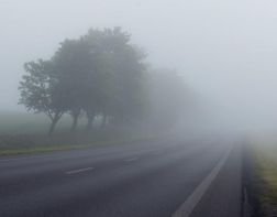 17 июня в Пензенской области ожидается туман