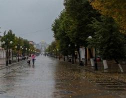 Жителей Пензенской области предупредили о грозе и шквалистом ветре 