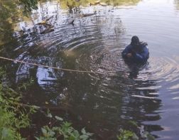 В пензенском водоеме обнаружили труп