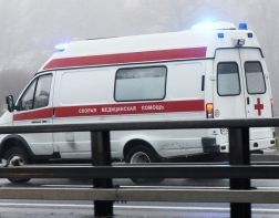 В Пензенской области в ДТП с “КАМАЗом” пострадали 4-летняя девочка и годовалый ребенок