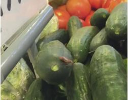 В пензенском магазине тараканы атаковали овощи