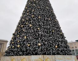 В Пензе установят елку за 600 тысяч рублей