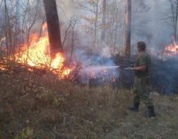 В Пензенской области за сутки потушили три лесных пожара