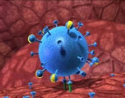 ﻿﻿Роспотребнадзор предупредил о новых штаммах вируса гриппа