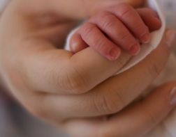 В области отмечен рекорд по рождаемости третьих и последующих детей