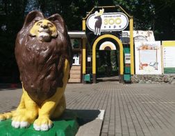 Пензенский зоопарк теперь работает 13 часов в день