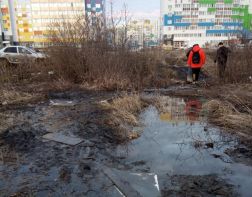 В Спутнике дети вынуждены ходить в школу через болото