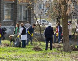 Пензенцы устроят в Арбековском лесу экологический пикник