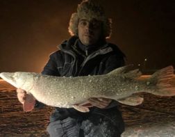 ﻿﻿﻿Пензенский рыбак поймал 8-килограммовую щуку