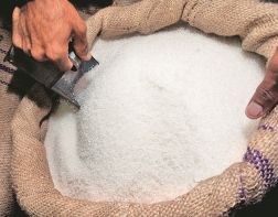 В области произвели 310 000 тонн сахара