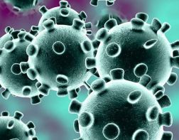 В США заявили об успешных испытаниях вакцины от коронавируса на людях