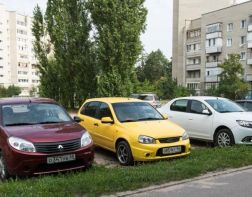 В Заречном выявили 12 автовладельцев, паркующих машины на газонах
