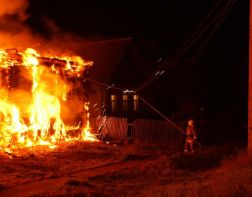 Под Пензой в пожаре погибли три ребенка и четверо взрослых