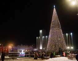 В России предложили сократить новогодние праздники в 2021 году