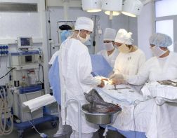 В Пензе впервые провели операцию онкобольному по новой технологии