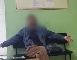 В Пензе задержали вандала, испортившего памятник Денису Давыдову