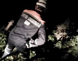 В Пензе в овраге нашли мужчину без сознания