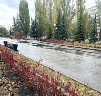 В Пензе на озеленение города потратят 15 млн рублей