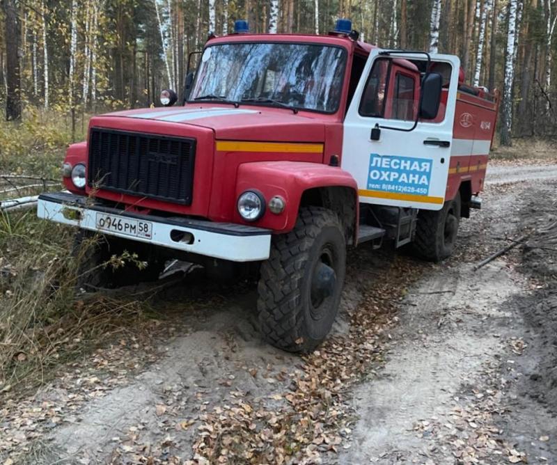 В Пензенской области с 25 марта начнется пожароопасный период
